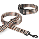 I Am Pet collar & leash