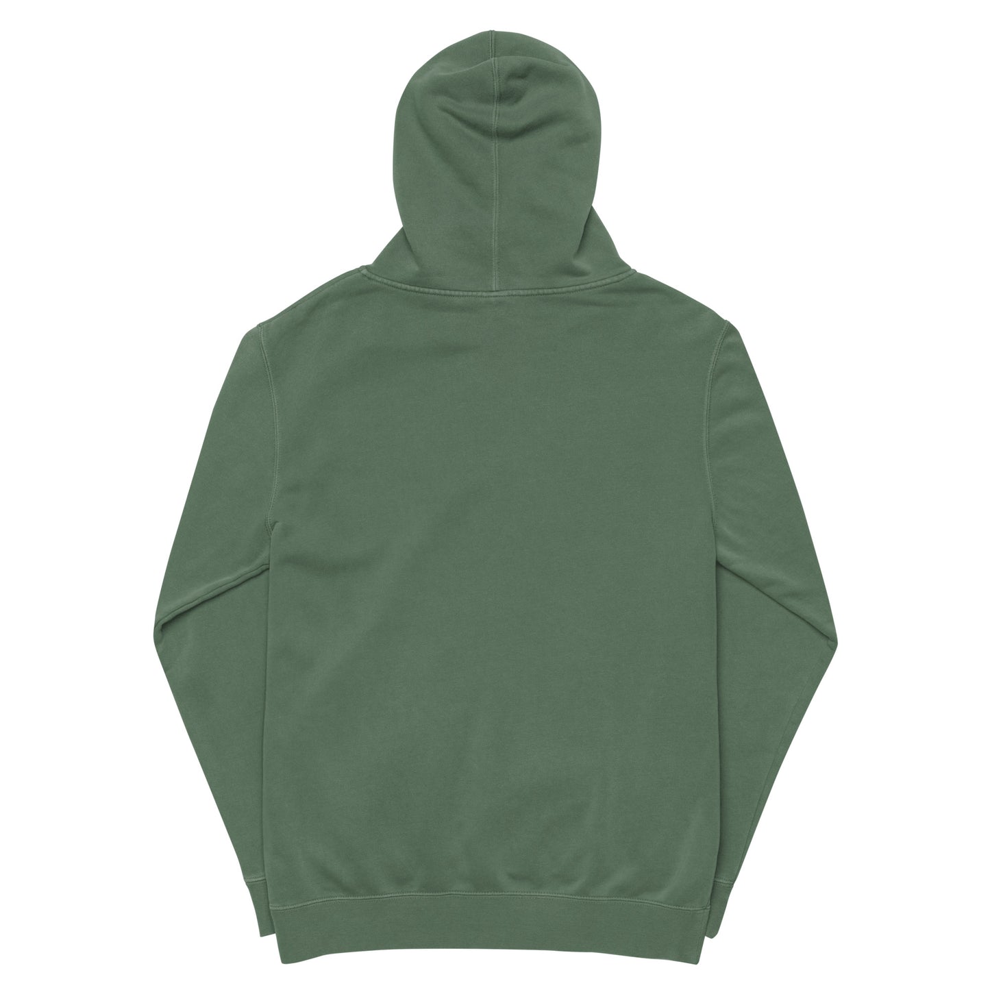 Passport Unisex pigment-dyed hoodie
