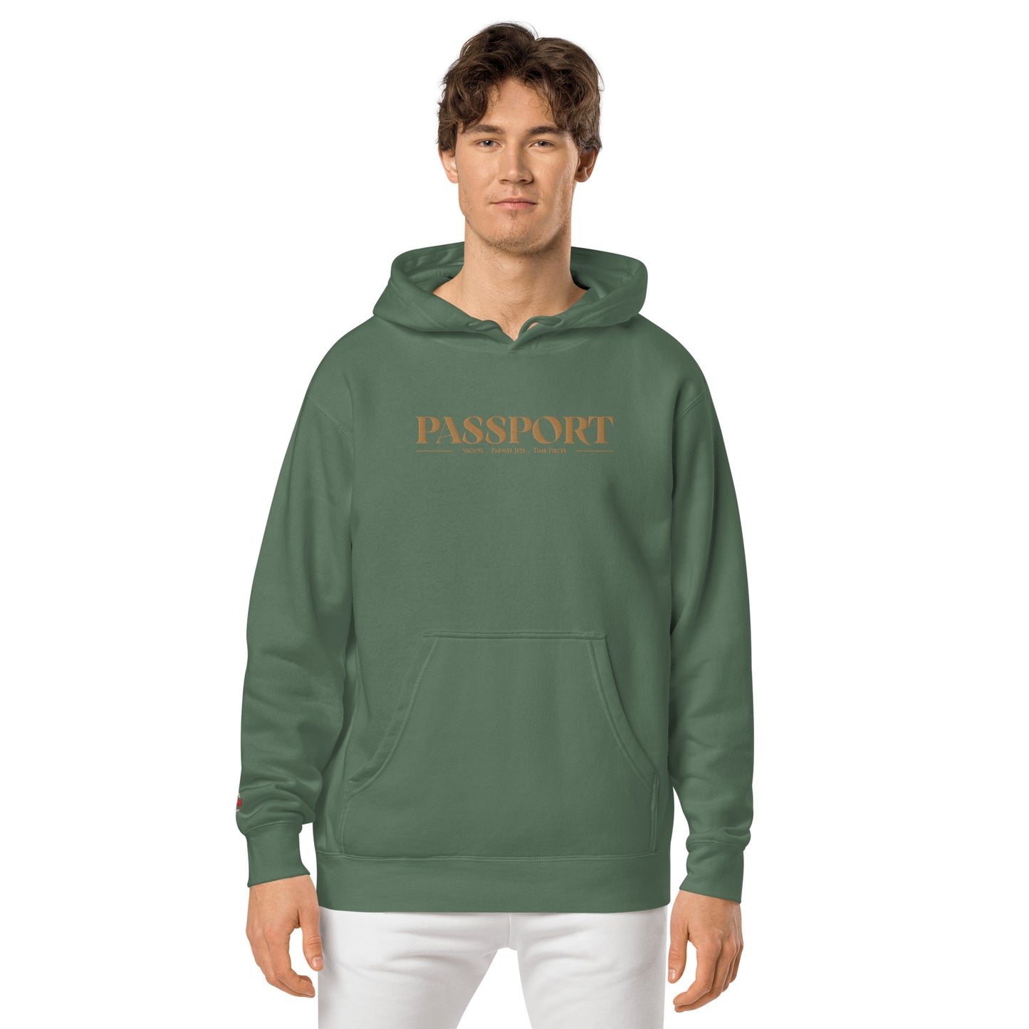 Passport Unisex pigment-dyed hoodie