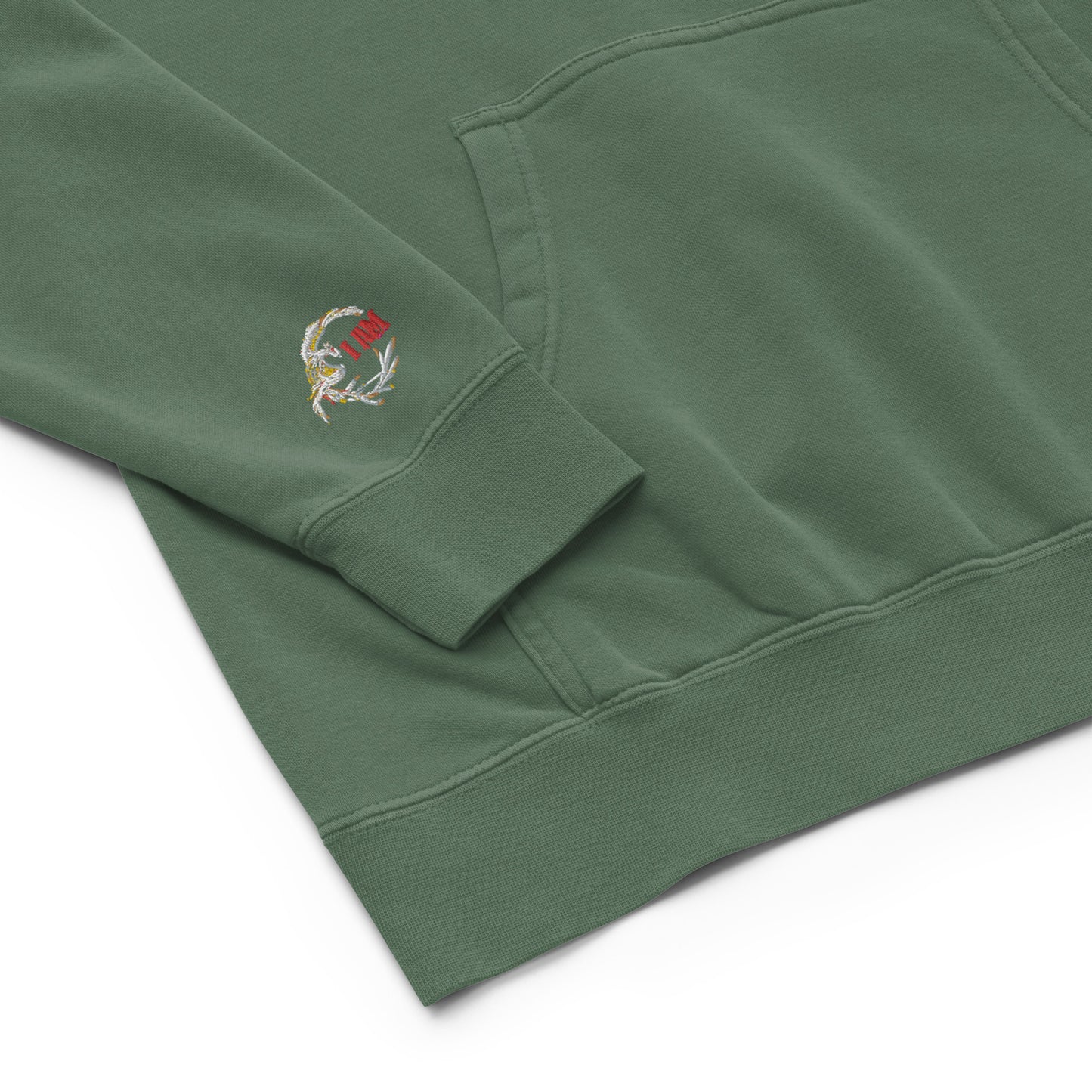 Passport Unisex pigment-dyed hoodie