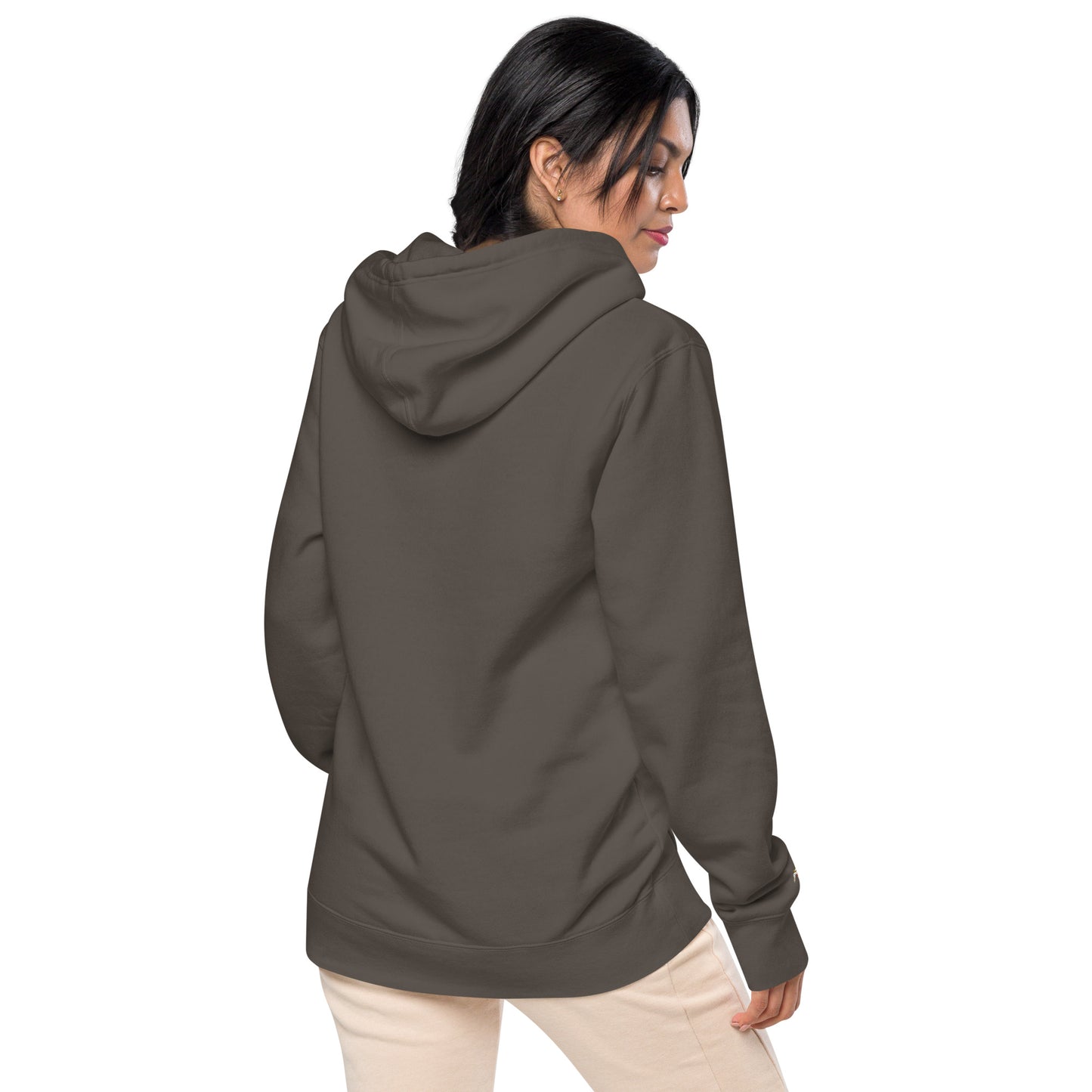 Passport Unisex pigment-dyed hoodie