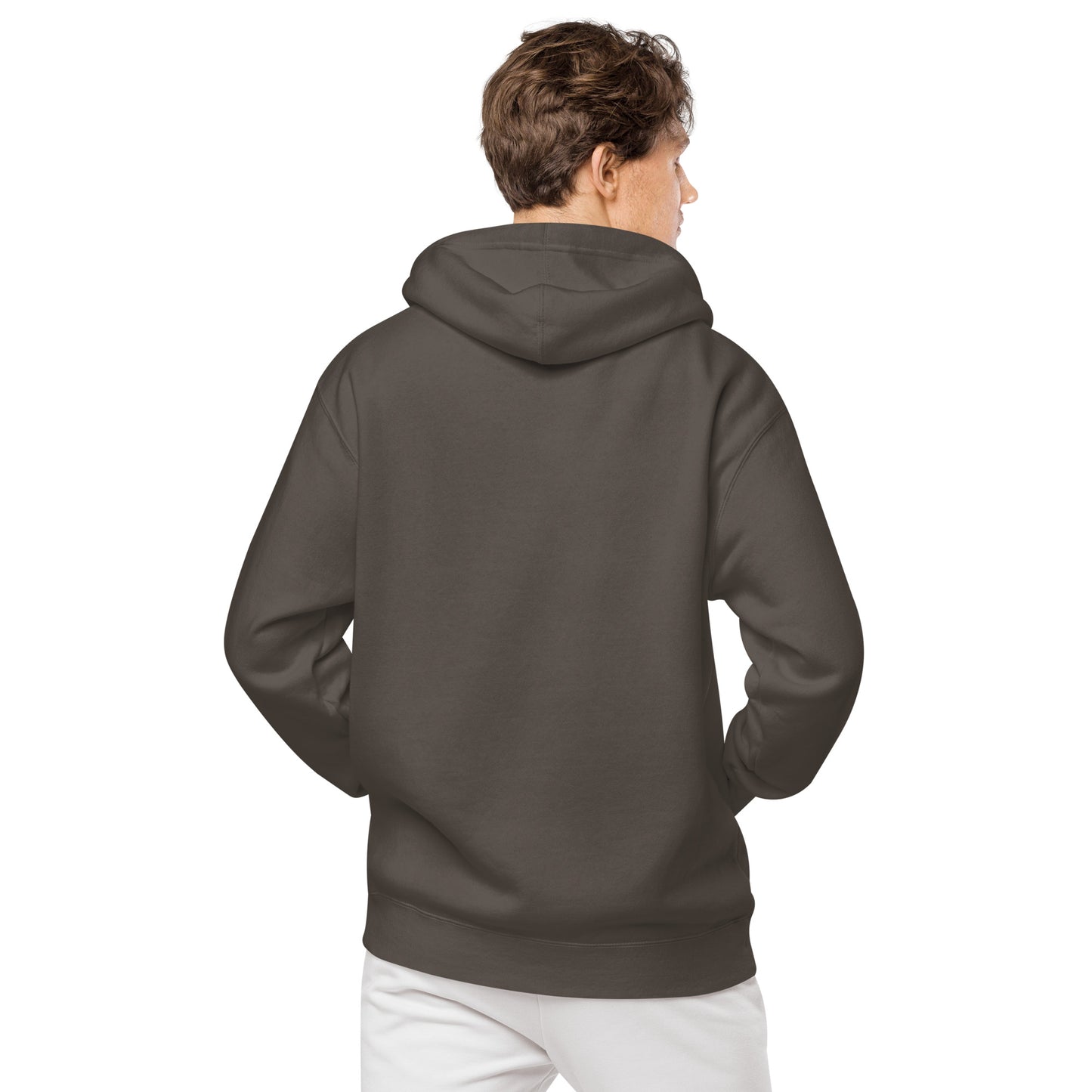 Passport Unisex pigment-dyed hoodie
