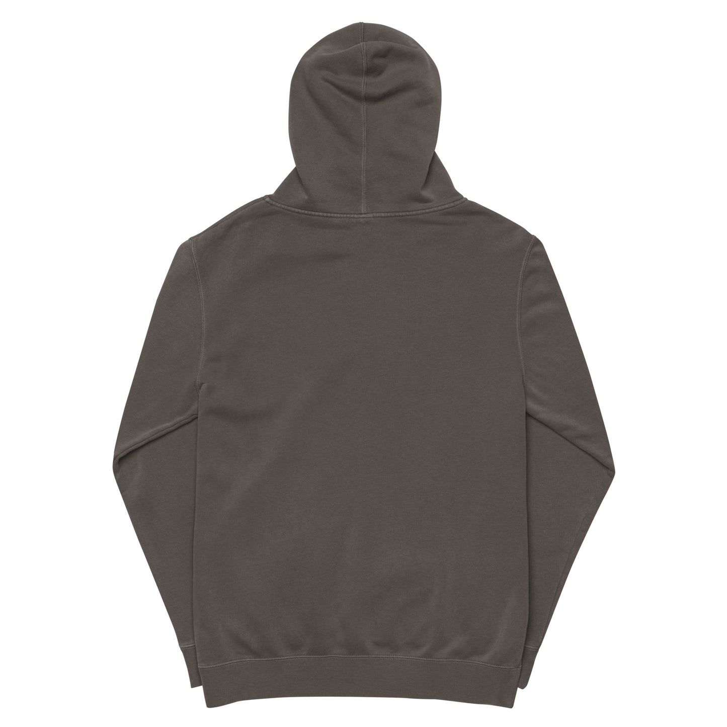 Passport Unisex pigment-dyed hoodie