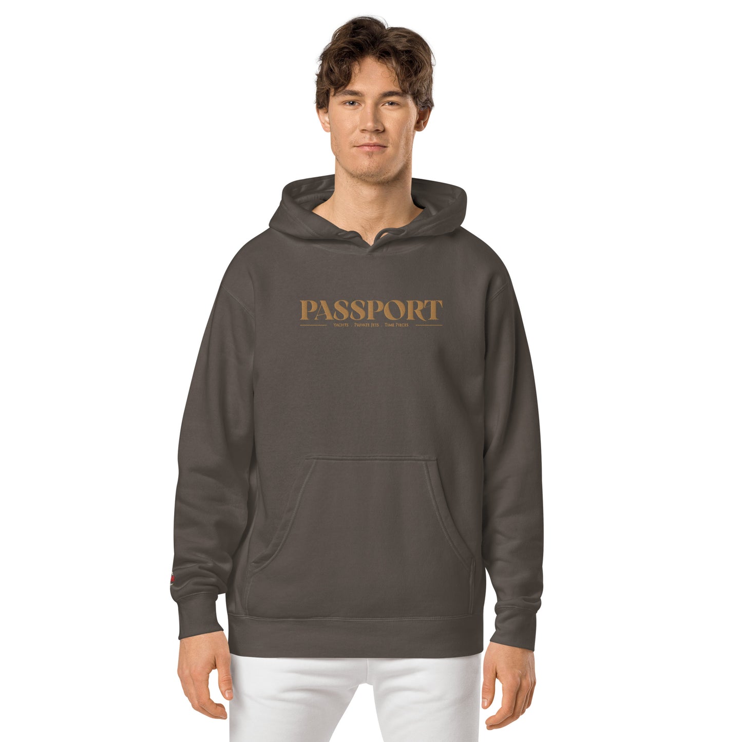 Passport Unisex pigment-dyed hoodie