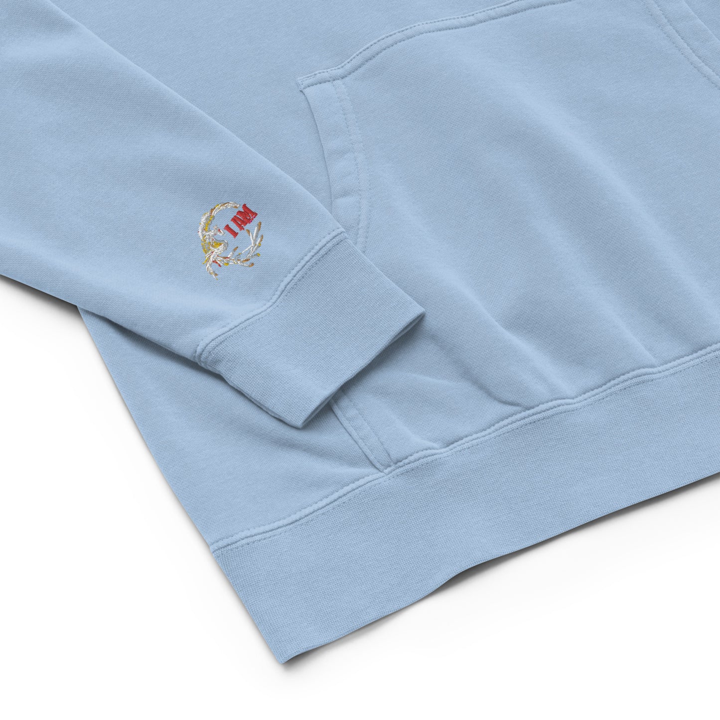 Passport Unisex pigment-dyed hoodie