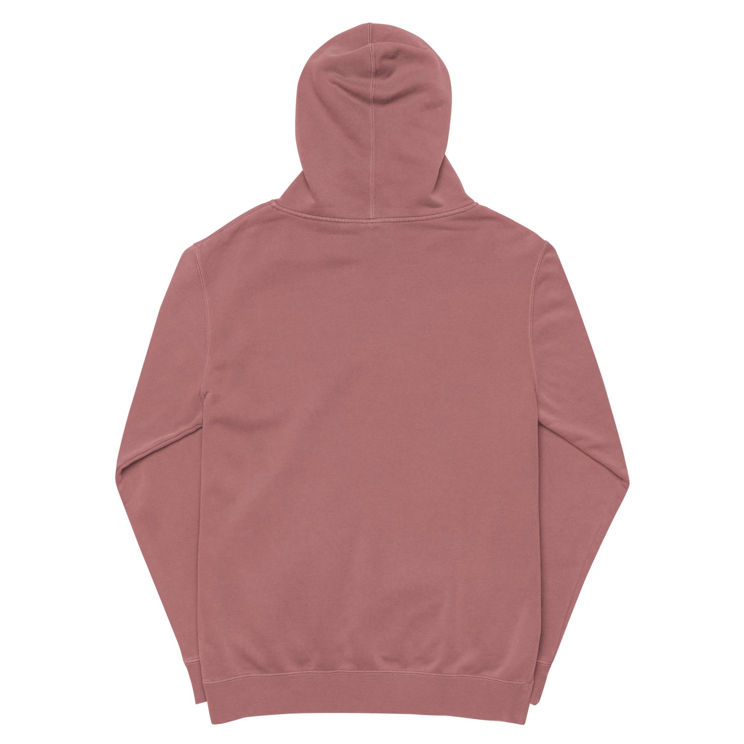 Passport Unisex pigment-dyed hoodie