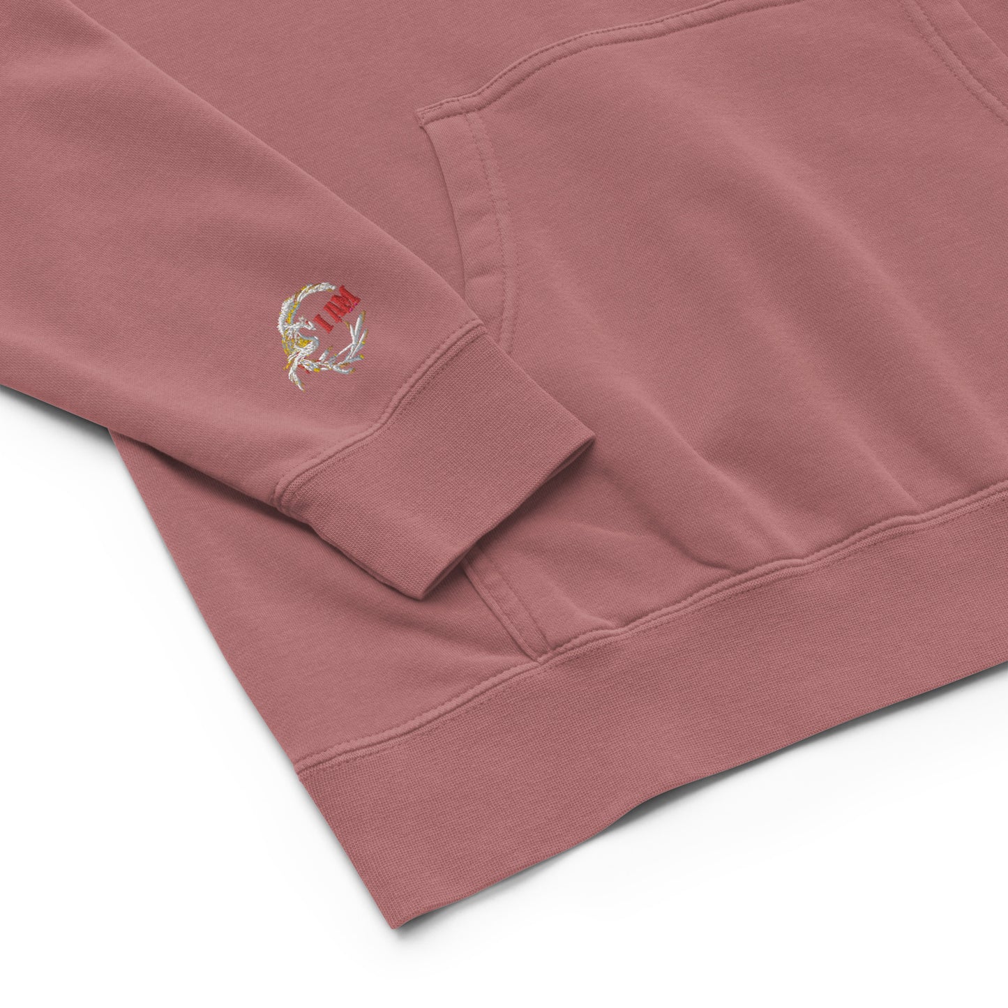 Passport Unisex pigment-dyed hoodie