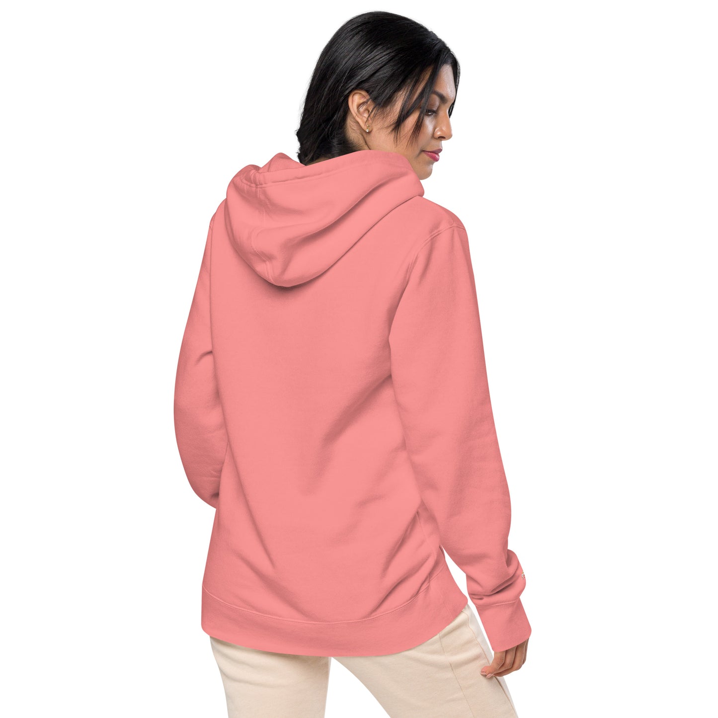 Passport Unisex pigment-dyed hoodie