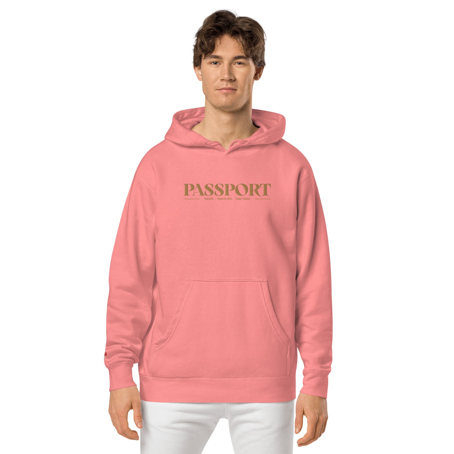 Passport Unisex pigment-dyed hoodie
