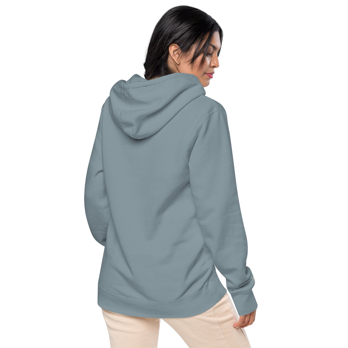 Passport Unisex pigment-dyed hoodie