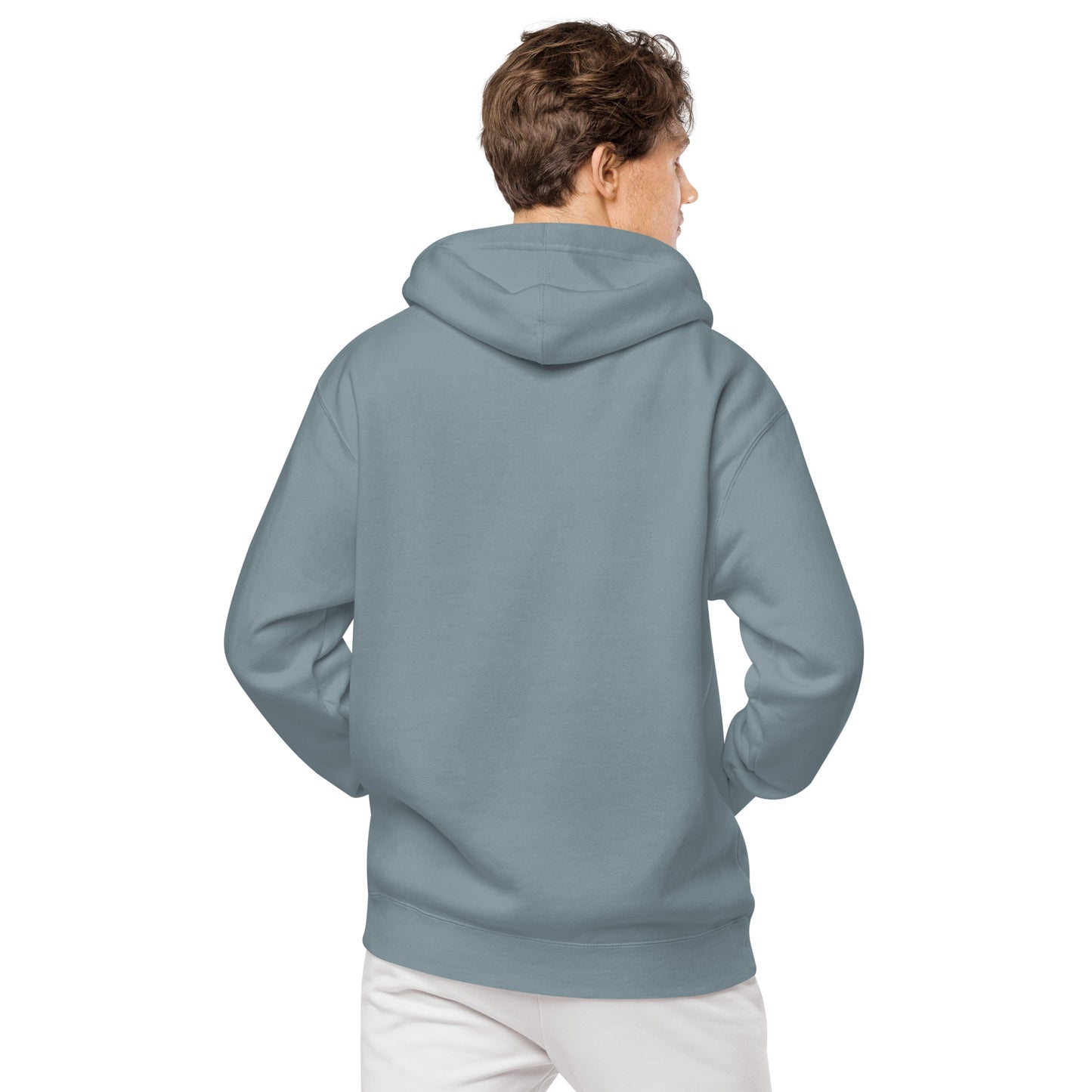 Passport Unisex pigment-dyed hoodie