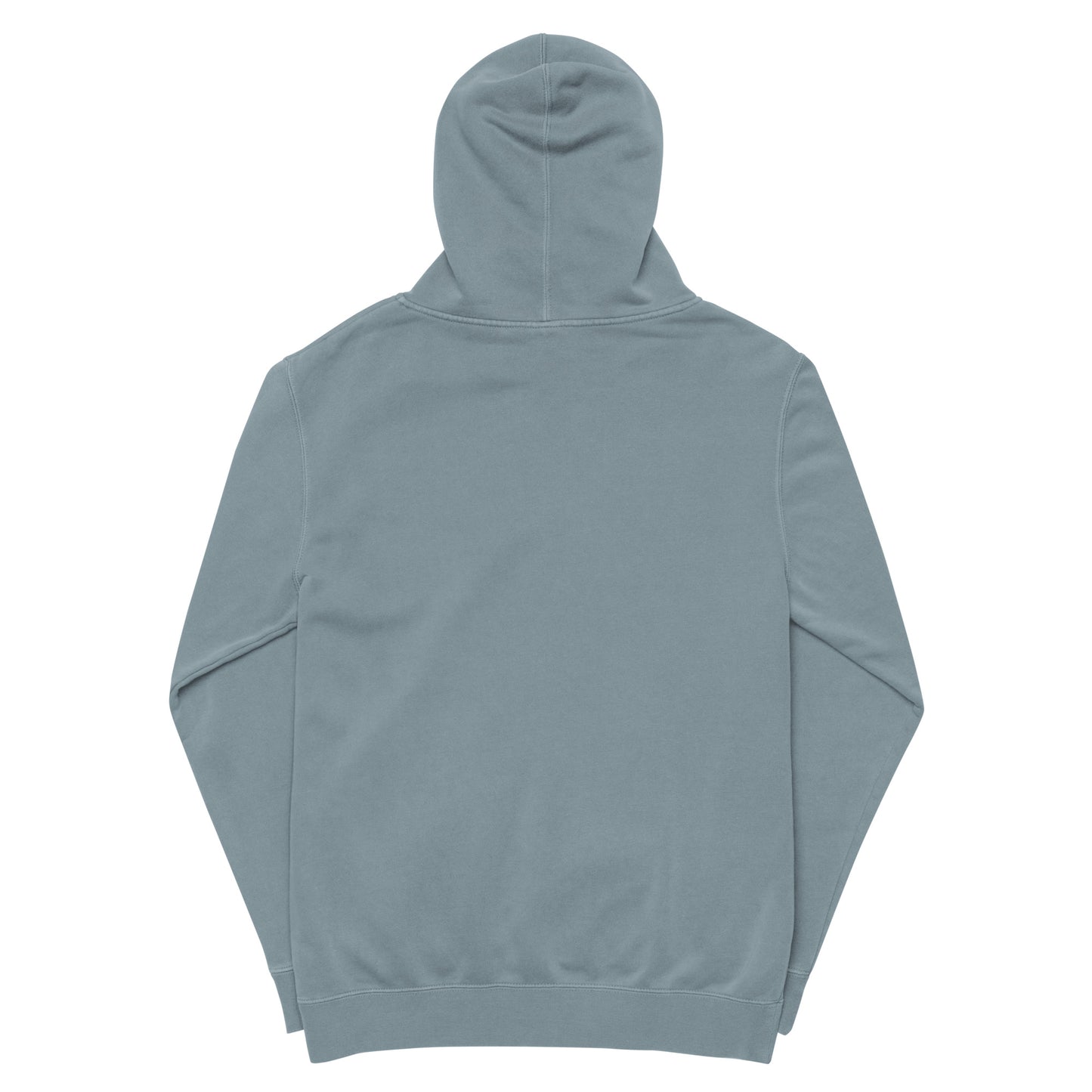 Passport Unisex pigment-dyed hoodie
