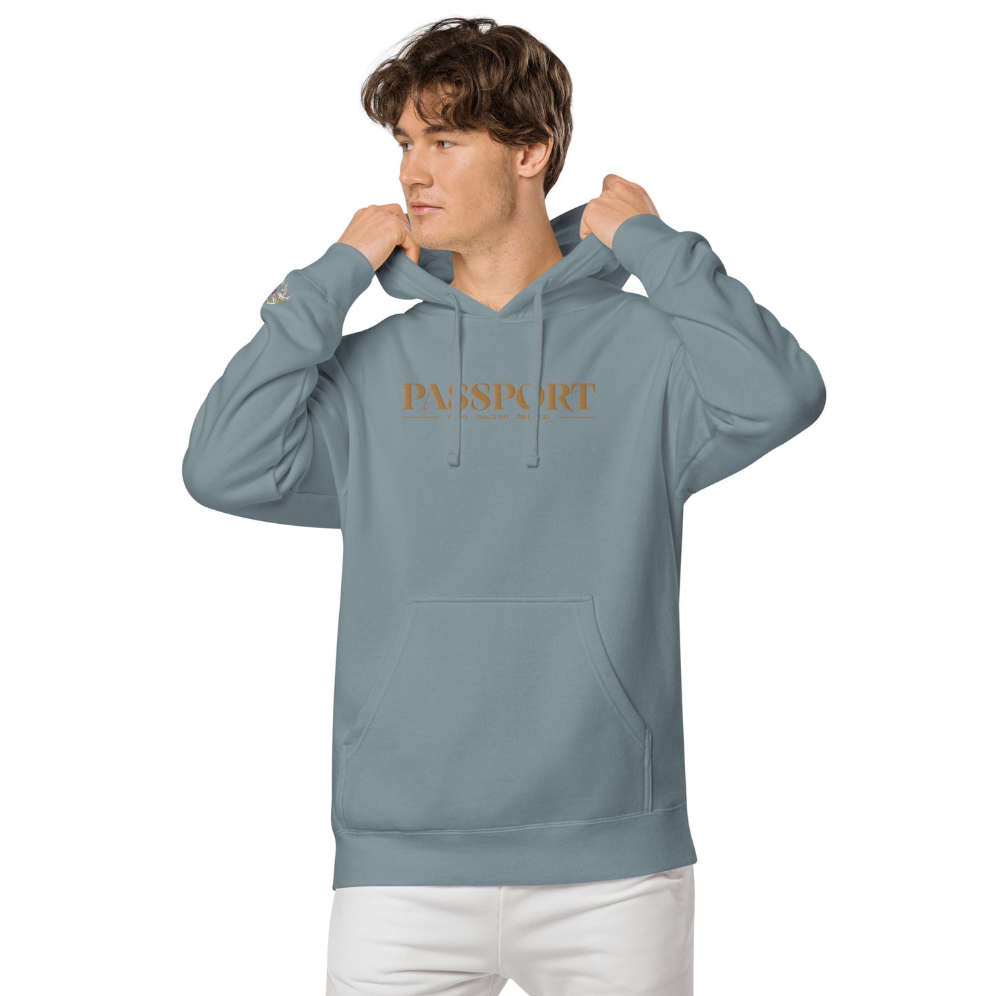 Passport Unisex pigment-dyed hoodie