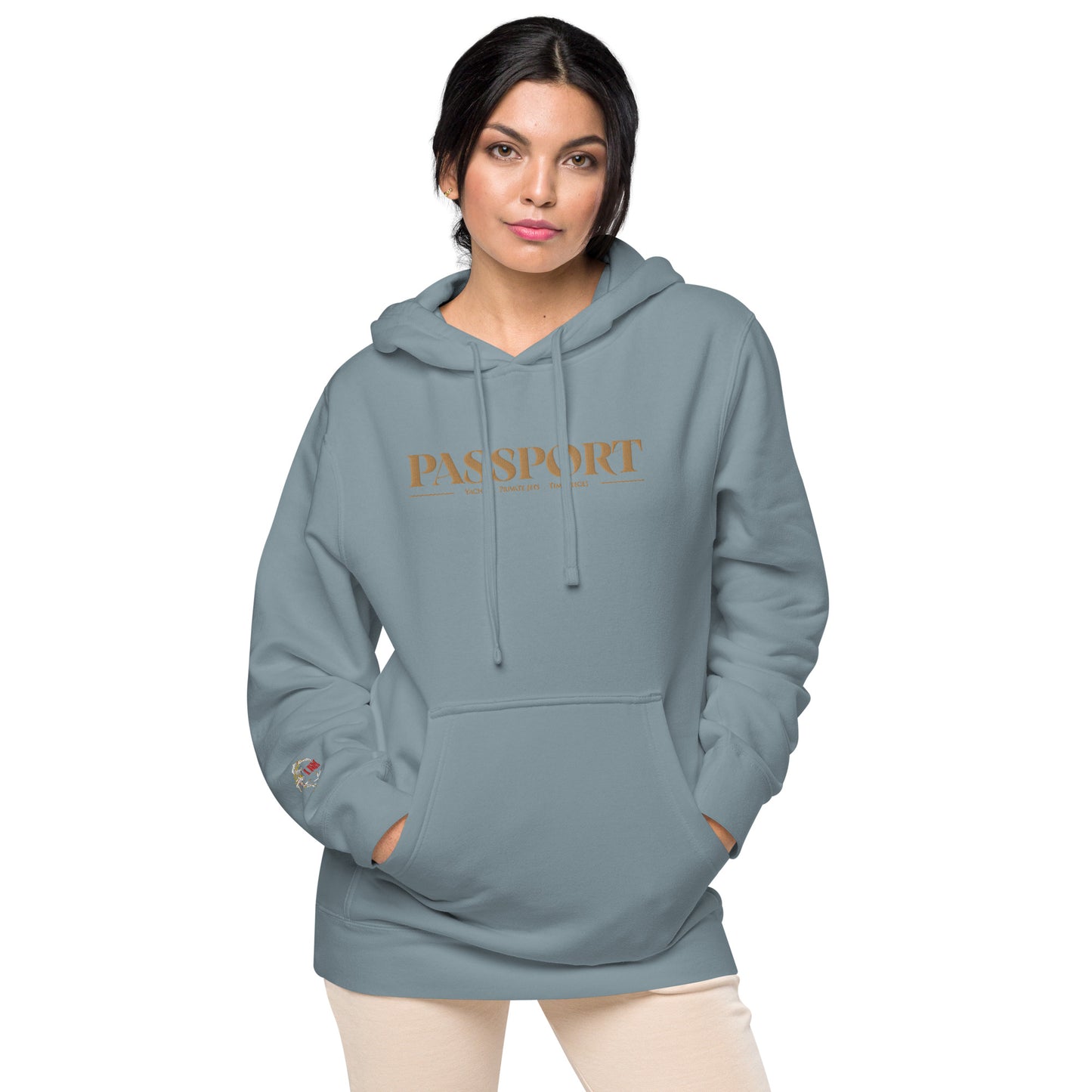 Passport Unisex pigment-dyed hoodie