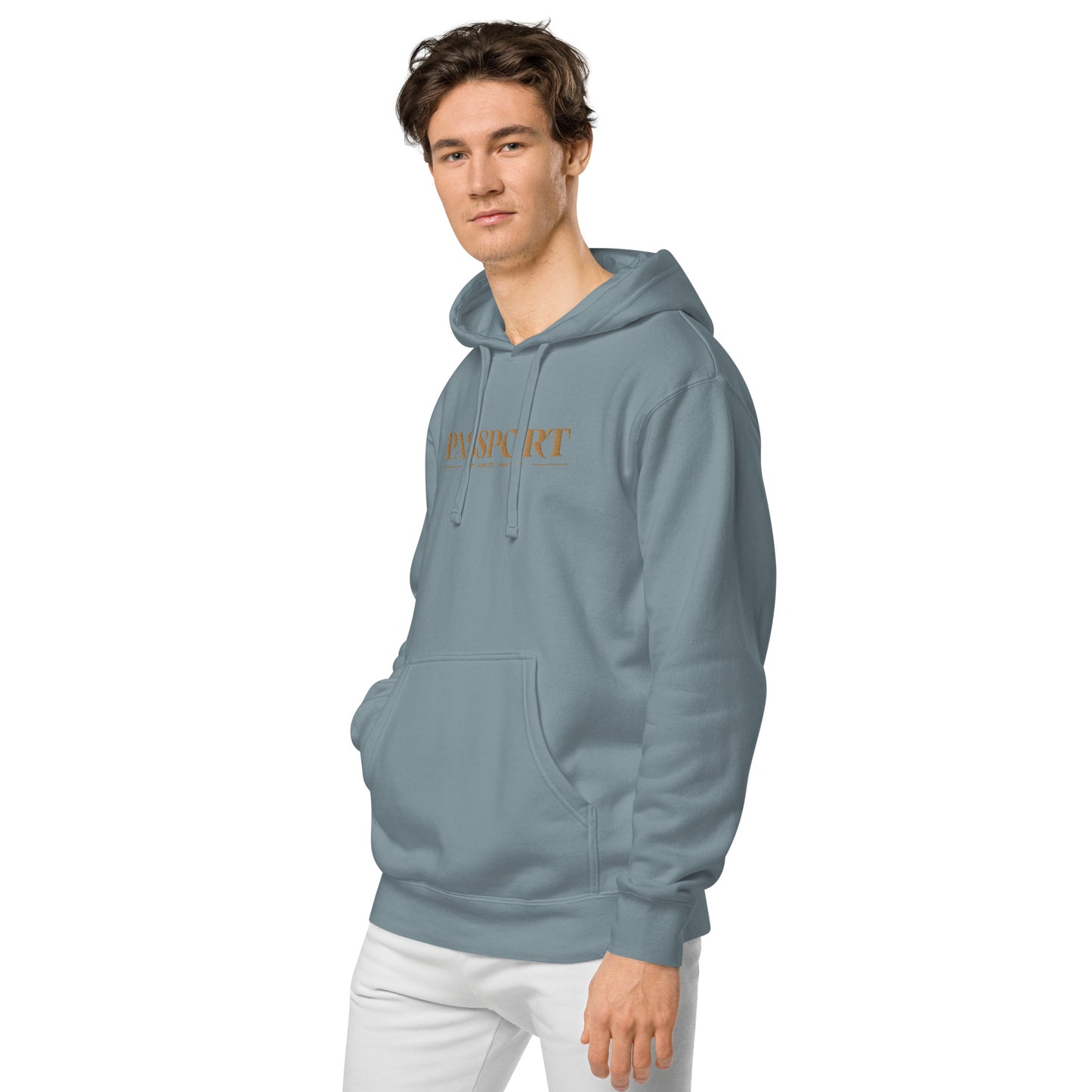 Passport Unisex pigment-dyed hoodie