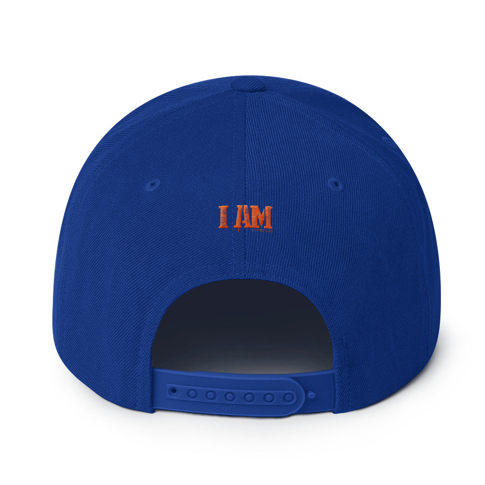 Mets color qb by Nature Snapback Hat